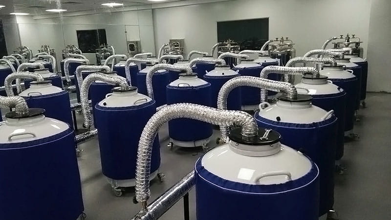 KGSQ Liquid Nitrogen Tank Cooperation Case