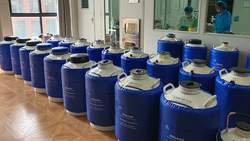 KGSQ liquid nitrogen tank in the laboratory